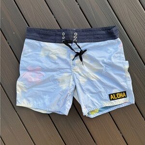 Birdwell 310 Boardshorts, Size 35